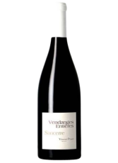 Vendange Entiere Pinard6